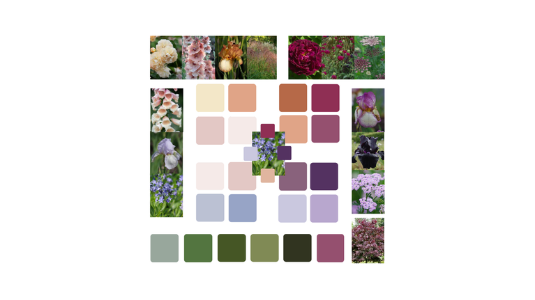 Mulberry Garden Colour Palette